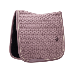 Sottosella Velvet dressage Kentucky