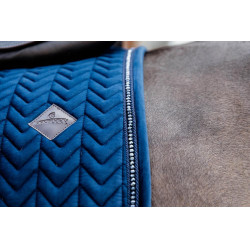 Sottosella Velvet Pearls dressage Kentucky Sottosella Velvet Pearls dressage Kentucky