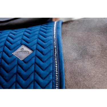 Sottosella Velvet Pearls dressage Kentucky Sottosella Velvet Pearls dressage Kentucky