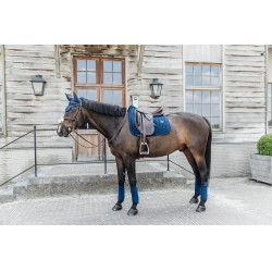 Sottosella Velvet Pearls dressage Kentucky Sottosella Velvet Pearls dressage Kentucky