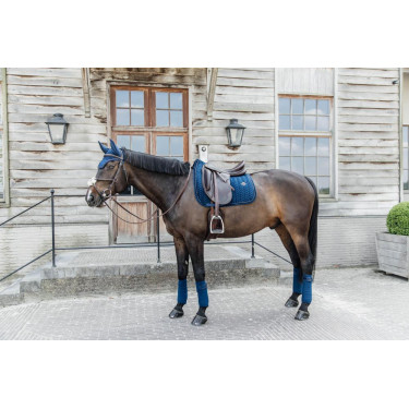 Sottosella Velvet Pearls dressage Kentucky Sottosella Velvet Pearls dressage Kentucky