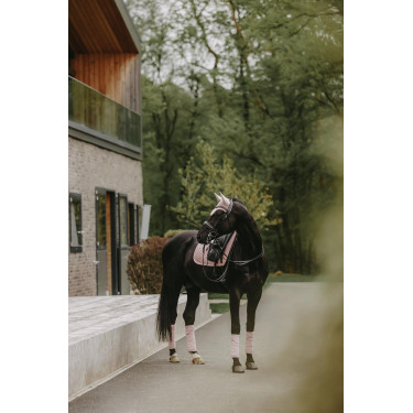 Sottosella Velvet Pearls dressage Kentucky Rosa pallido