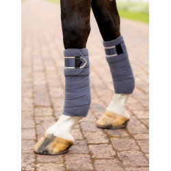 Fasce da polo Loire LeMieux Ghiandaia azzurra Blu