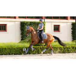 Fasce da polo Loire LeMieux Ghiandaia azzurra Blu