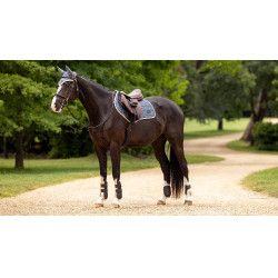 Sottosella LeMieux Loire Classic Close Contact Square