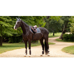 Sottosella LeMieux Loire Classic Close Contact Square Sottosella LeMieux Loire Classic Close Contact Square