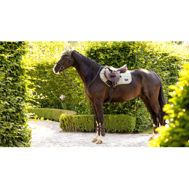 Sottosella LeMieux Loire Classic Close Contact Square Sottosella LeMieux Loire Classic Close Contact Square