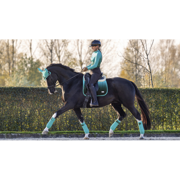 Tappeto LeMieux Spectrum Dressage Square