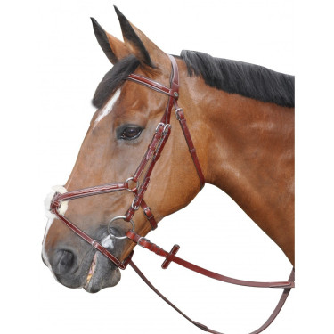 Bridon Lexington Denver Incrociato Bridon Lexington Denver Incrociato