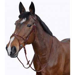 Bridon Lexington Atlanta Combine Bridon Lexington Atlanta Combine