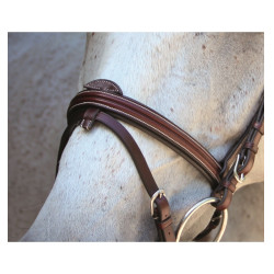 Bridon Lexington Chicago Combine Bridon Lexington Chicago Combine