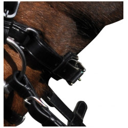 Bridon Lexington Pull Back Boston