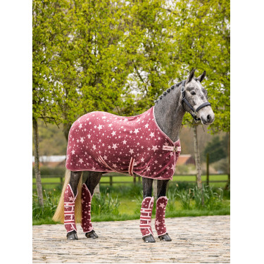 Coperta da trasporto in pile LeMieux Pony