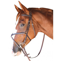 Briglia Cabourg Incrociata Privilege Equitazione