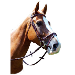 Bridon Royan Combinato Privilege Equitazione