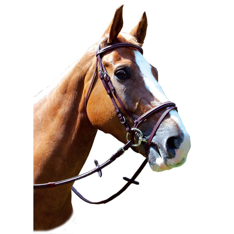Bridon Royan Combinato Privilege Equitazione