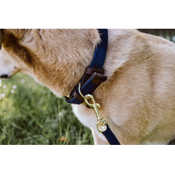 Collare per cane Plaited Nylon Kentucky Blu navy