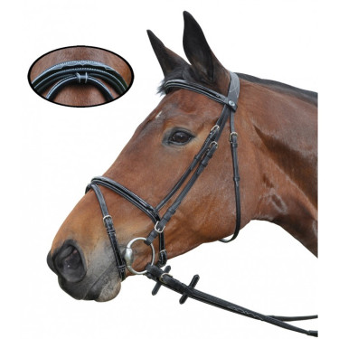 Briglia Nice Combinato Privilege Equitazione Briglia Nice Combinato Privilege Equitazione