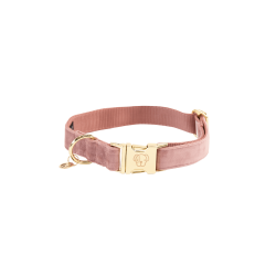Hondenhalsband Velvet Kentucky Rosa antico