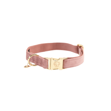 Hondenhalsband Velvet Kentucky Rosa antico