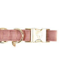 Hondenhalsband Velvet Kentucky Rosa antico