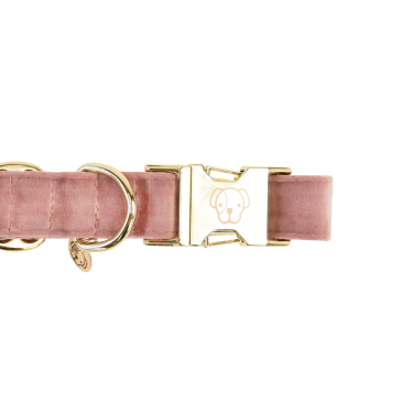 Hondenhalsband Velvet Kentucky Rosa antico