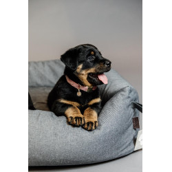 Hondenhalsband Velvet Kentucky Rosa antico