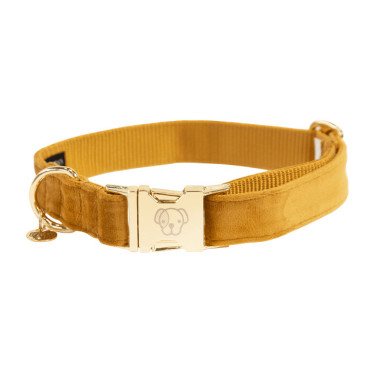 Collare per cane Velvet Kentucky Senape Giallo