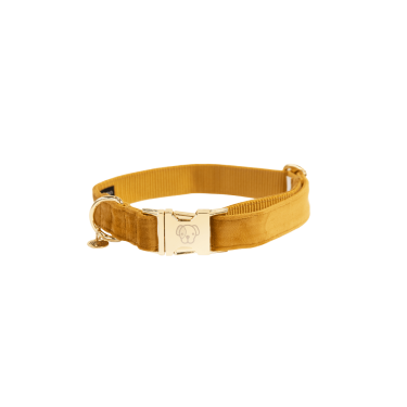 Collare per cane Velvet Kentucky Collare per cane Velvet Kentucky