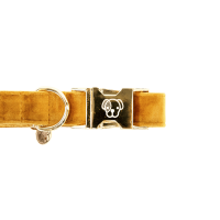 Hondenhalsband Velvet Kentucky Rosa antico