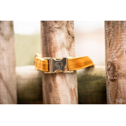 Collare per cane Velvet Kentucky Collare per cane Velvet Kentucky