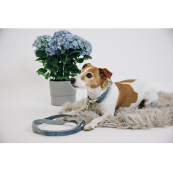 Hondenhalsband Velvet Kentucky Azzurro chiaro