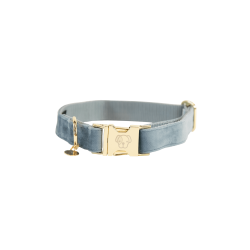 Hondenhalsband Velvet Kentucky Azzurro chiaro Hondenhalsband Velvet Kentucky Azzurro chiaro
