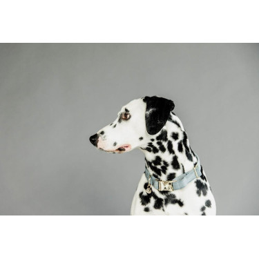 Hondenhalsband Velvet Kentucky Azzurro chiaro Hondenhalsband Velvet Kentucky Azzurro chiaro