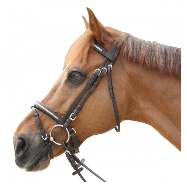 Briglia Pull Back Lacanau Privilege Equitazione