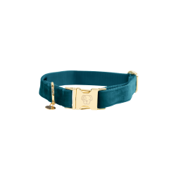 Collare per cane Velvet Kentucky Smeraldo Verde