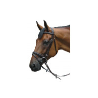 Bridon Pull Back Le Touquet...