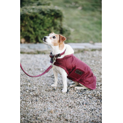 Laisse pour chien Plaited Nylon 120 cm Kentucky Bordeaux