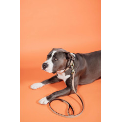 Guinzaglio per cane in nylon intrecciato 120 cm Kentucky