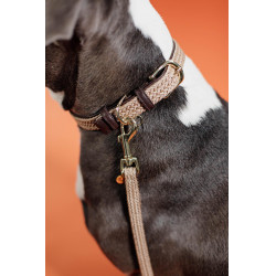 Guinzaglio per cane in nylon intrecciato 120 cm Kentucky Guinzaglio per cane in nylon intrecciato 120 cm Kentucky
