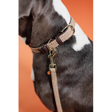 Guinzaglio per cane in nylon intrecciato 120 cm Kentucky Guinzaglio per cane in nylon intrecciato 120 cm Kentucky