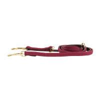 Laisse pour chien Plaited Nylon 200 cm Kentucky Bordeaux