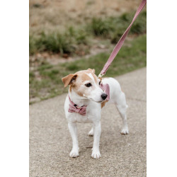 Guinzaglio per cane Velvet 120 cm Kentucky Guinzaglio per cane Velvet 120 cm Kentucky