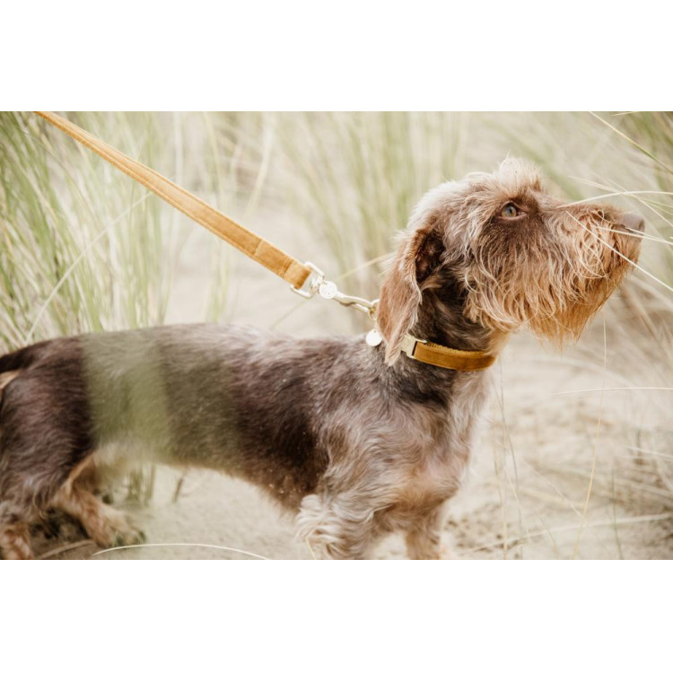 Guinzaglio per cane Velvet 120 cm Kentucky
