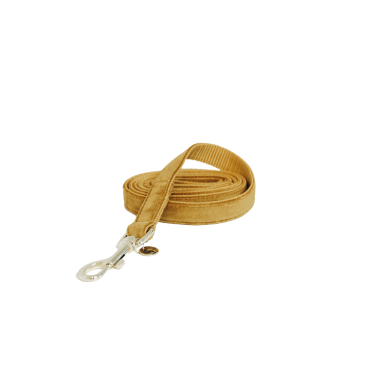Guinzaglio per cane Velvet 120 cm Kentucky Guinzaglio per cane Velvet 120 cm Kentucky