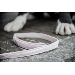 Guinzaglio per cane Velvet 120 cm Kentucky Rosa pallido