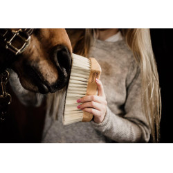 Tappo con setole morbide Kentucky Tappo con setole morbide Kentucky