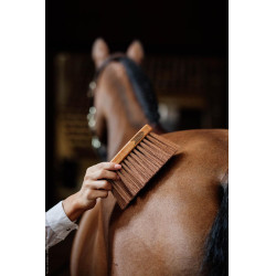Tappo medio medium Kentucky