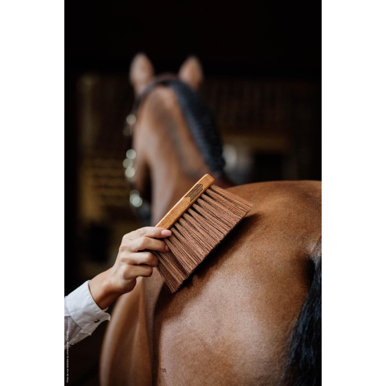 Tappo medio medium Kentucky