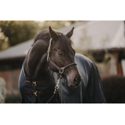 Camicia anti-mosche Kentucky Blu navy Camicia anti-mosche Kentucky Blu navy